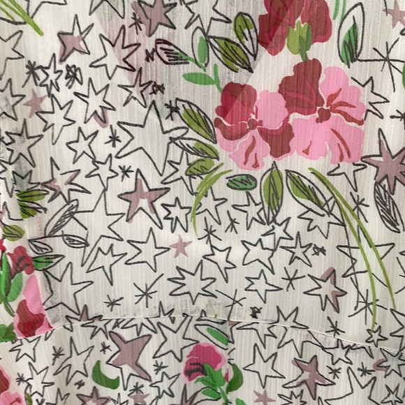 NWOT beautiful sheer floral Zara dress with slip dress. Size L - Picture 2 of 6